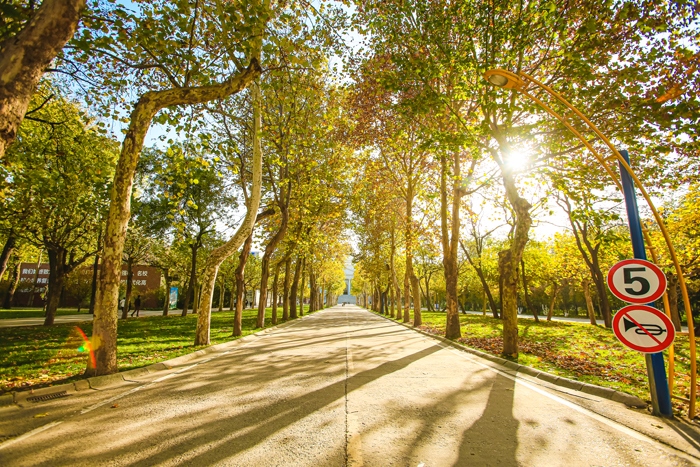 ���ͼƬ�鿴��һ��