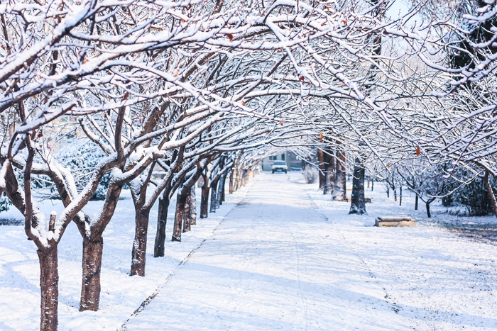 ���ͼƬ�鿴��һ��