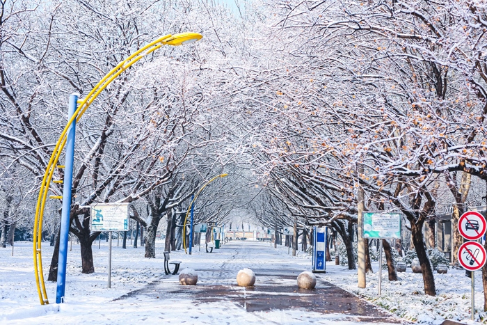 ���ͼƬ�鿴��һ��