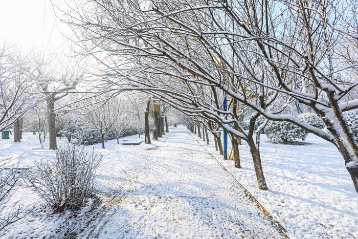 ���ͼƬ�鿴��һ��