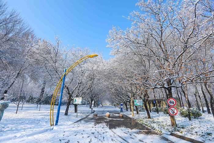 ���ͼƬ�鿴��һ��