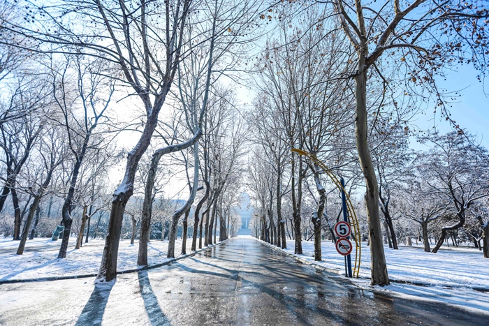 ���ͼƬ�鿴��һ��