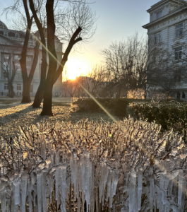 ���϶����뻭��  ʥ��У԰��ʫ��