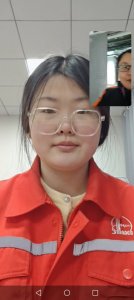 ���̹���������רְ��ʦ��չ����