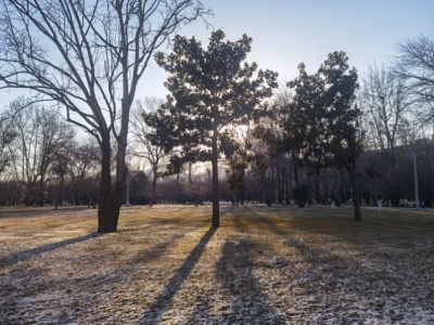 ��ѩ���緽�ã����ϳ��״�����